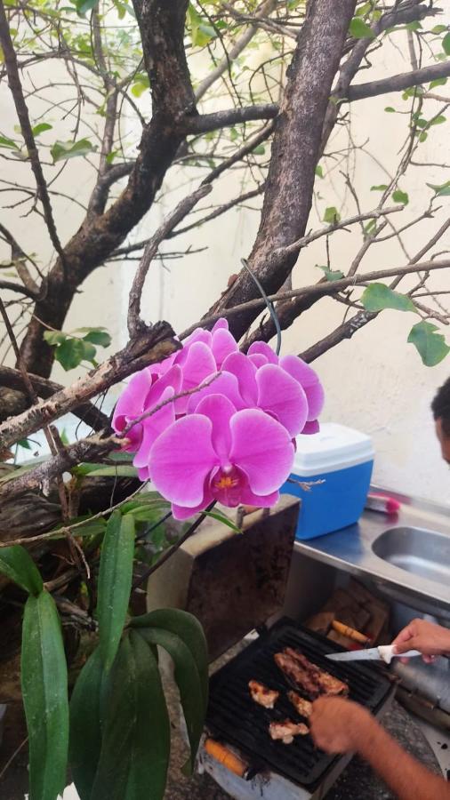 Hostel Salvador Orquideas 外观 照片