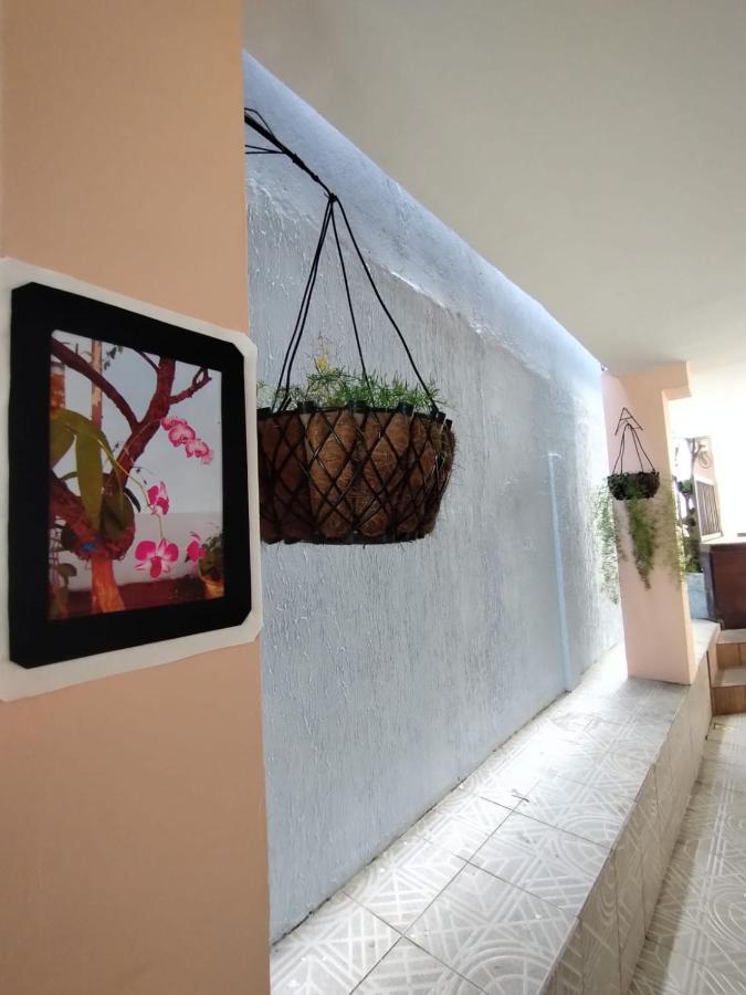 Hostel Salvador Orquideas 外观 照片